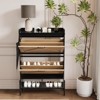 TruAIR 2-Drawer Shoe Cabinet - Farmhouse Rattan Entryway Organizer for 20 Pairs (Freestanding, Tool-Free Assembly) - 4 of 4