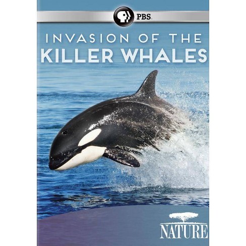 orca DVD