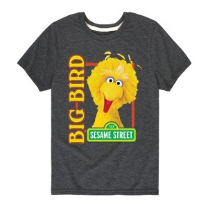 Boys' - Sesame Street - Big Bird Photo Short Sleeve Graphic T-Shirt - 1 of 4