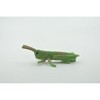 Collectible Wildlife Gifts | Grasshopper, Acrida, Acrididae, High Quality, Rubber Insect, Hand Painted, Toy, Model, Gift,   2 "   CH619 BB167 - 4 of 4