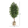 Nearly Natural 8-ft Ficus Artificial Tree with Handmade Natural Cotton Multicolored Woven Planter - 2 of 4