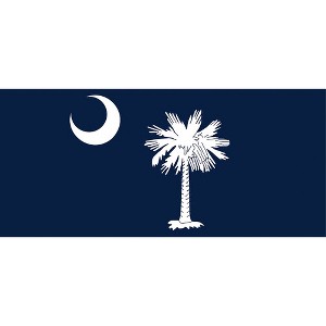 Briarwood Lane Everyday Doormat 22x10 Indoor Outdoor South Carolina Doormat - 1 of 2
