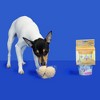 Pooch Creamery All Ages Dog Treat with Peanut Butter and Cake Recipe - 4.64oz/2ct - 3 of 4