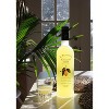 Il Tramonto Limoncello - 750ml Bottle : Target