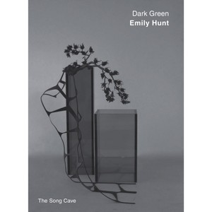 Dark Green - by  Emily Hunt (Paperback) - 1 of 1