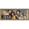 PosterPalooza | 18x6 Wood Antique Frame with UV Acrylic, 4 Finishes: Bronze, Gold, Silver, and Black - 2 of 4