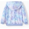 Disney Princess Toddler Sweatshirts Frozen Elsa and Anna Hoodie Graphic Pullover Tops - 3 of 4