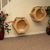 Armarkat Wall Tree Cat Activity Center - 2ct - Natural Wood - 18" - 4 of 4