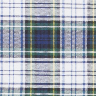 white navy plaid