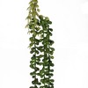 Hachikiko 27.2" Artificial Hanging Succulent Plant - Lifelike Fake Greenery Decor for Home & Office - 4 of 4