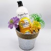 Original Little Sprout Luscious Island Conditioner (33 oz XXL LITER) Vegan & Cruelty-Free | For Color Treated Hair | Mild PH Level - 2 of 4