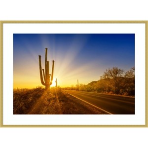 Amanti Art Saguaro National Park Setting Sun by Melanie Viola Wood Framed Wall Art Print - 1 of 4