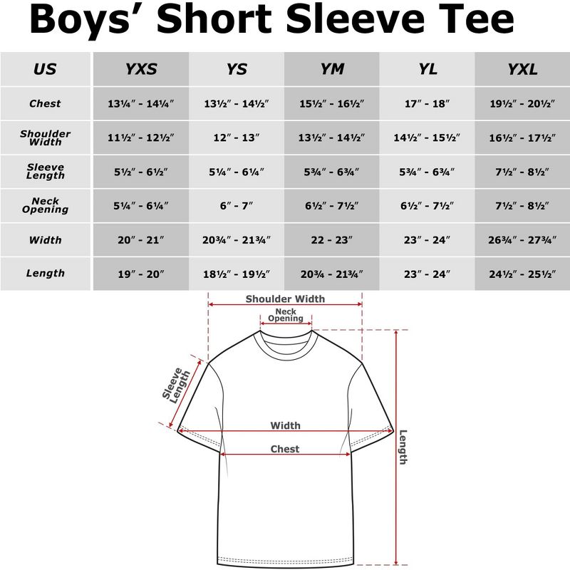 Boy's Pokemon Charizard Info Grid T-Shirt, 5 of 6