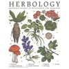 Girl's Harry Potter Hogwarts Herbology T-Shirt - 2 of 4