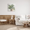 Stupell Industries Lush Green House Plant Leaves Detailed Painting, 24" x 24" - 2 of 4