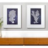HomeRoots Set of Two Indigo And White Coral Framed Art - 2 of 4
