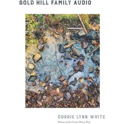 Gold Hill Family Audio - (Cowles Poetry Prize Winner) by  Corrie Lynn White (Paperback)