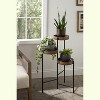 Kate and Laurel - Finn Metal Tri-Level Plant Stand - 4 of 4