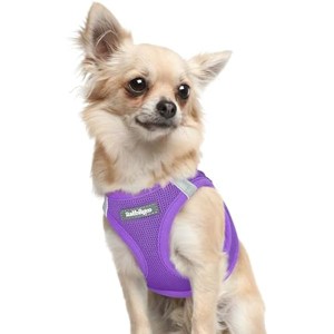 rabbitgoo Small Dog Harness, Step-in Soft Mesh Reflective Pet Harness for Extra Small Dogs, Purple XXXS - 1 of 1
