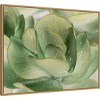 30" x 23" Petal I by Tang Ling Framed Canvas Wall Art Print - Amanti Art: Modern Botanical Decor - 2 of 4