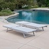 Oversart Chaise Lounge - 3 of 4