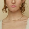 Bearfruit Jewelry Sterling Silver 18k Gold Plated Leena Necklace - 2 of 4
