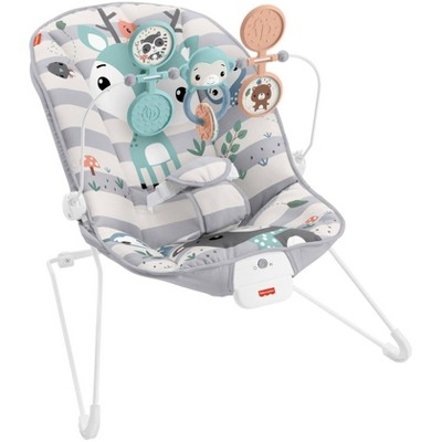 ​Fisher-Price Baby Bouncer