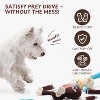 ZippyPaws Squeaky Crinkle Dog Toys: Interactive Puzzle, Chew, All Sizes - 3 of 4