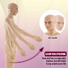 FDW Female/Male Mannequin Torso Dress Form Mannequin Adjustable Dress Mannequin Clothing Form Dress Model Full Body Plastic Display Tool - 3 of 4
