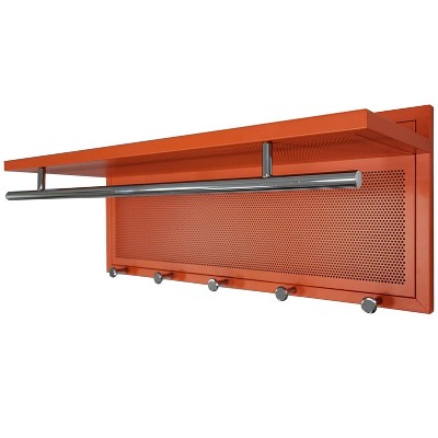 Vynxaria Multi-Color Decorative Wall Shelf with Hooks - Modern Space-Saving Design