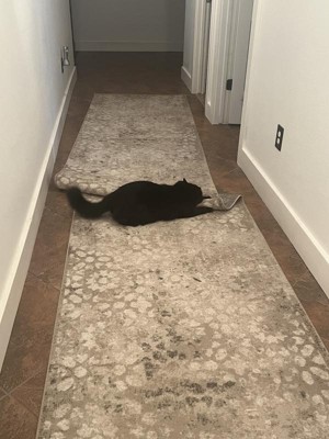 Guest review image 1 of 1, zoom in