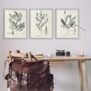 Stupell Industries Green Botanical Latin Study, 24" x 30" - 2 of 4