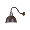 Millennium Lighting R Series 1 - Light Pendant in  Architectural Bronze - 2 of 4