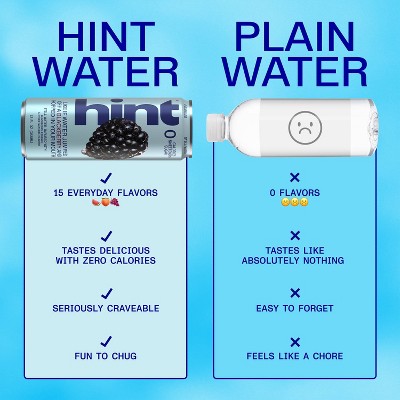 hint Blackberry Flavoured Still Water - 12 fl oz Can