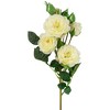 Northlight Real Touch™ White Artificial Camellia Rose Floral Sprays, Set of 6 - 23" - 4 of 4