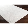 Hauteloom Trigg Outdoor Rug - 4 of 4
