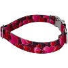 Country Brook Petz Premium Dog Collar - Affection Collection - 3 of 4