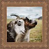 PosterPalooza | Square Museum Gold Picture Frame - UV Acrylic, Foam Board Backing, Hanging Hardware - 2 of 4