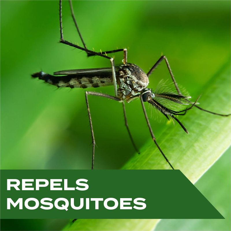 STEM Mosquito Repellent Spritz - 4oz, 6 of 22