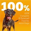 Pedigree Roasted Chicken Flavor with Bacon Bites Adult Dry Dog Food - 4 of 4