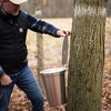 Tap My Trees Maple Sugaring Starter Kit - 2 of 4