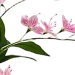 180cm weeping jasmine tree with white explosion-proof pot