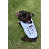 Parisian Pet 'Suspender' Dog Shirt – Formal Outfit for Dogs & Cats, Light Blue - 3 of 4
