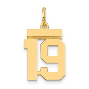 Black Bow Jewelry 14k Yellow Gold, Athletic Collection, Small Polished Number 19 Pendant - 1 of 4