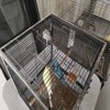 Portable Bird Cage with Pull-Out Tray, Transparent Feeder, Metal Bird Cage - 3 of 4