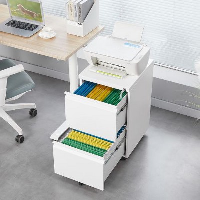 NicBex 2 Drawer Mobile File Cabinet with Lock,Rolling File Cabinets for Home Office Letter/Legal/A4/F4
