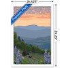 Trends International Lantern Press - Great Smoky Mountains Spring Flowers Framed Wall Poster Prints - 3 of 4