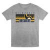 MLB Milwaukee Brewers Toddler Boys' 2pk Gray T-Shirt - 2 of 3