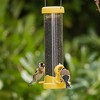 Jacobi Jayne Yellow Flo Nyjer Tube Bird Feeder - 255 mm - 3 of 3
