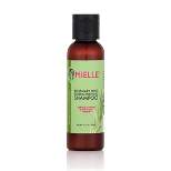 Mielle Organics Rose Mint Shampoo - 2 fl oz